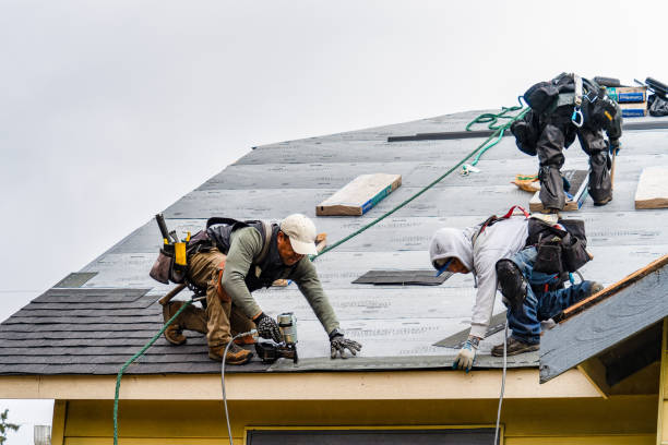 Professional Emergency Roof Repair technician working in Moosup, CT